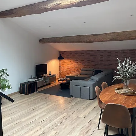 Industrial Lodge 85m² - Loft avec extérieur Vakantiehuis